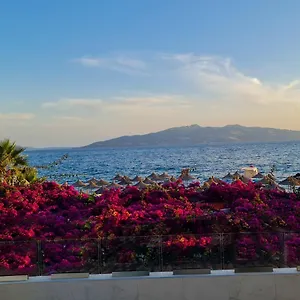 https://villa-iv.albaniahotels.org